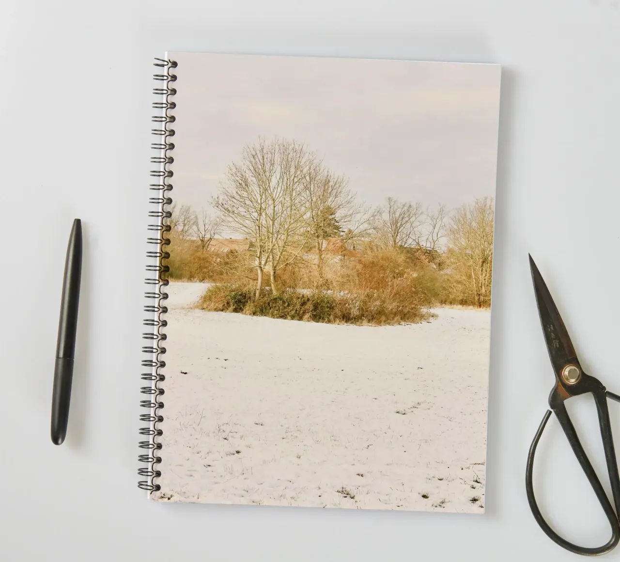 Trees on Sunny day after Snow spiral notebook by KISSA STUDIO