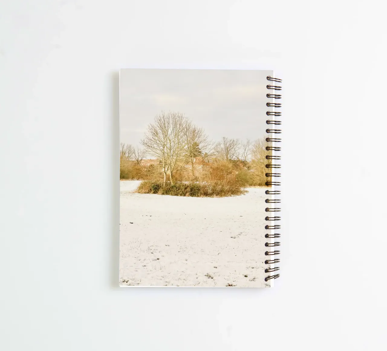 Trees on Sunny day after Snow spiral notebook by KISSA STUDIO