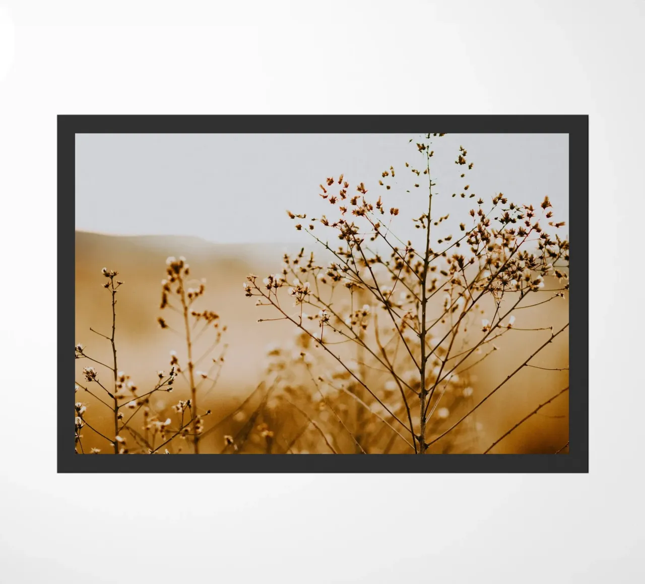 fiori secchi natura zerbino da Earthly Visions