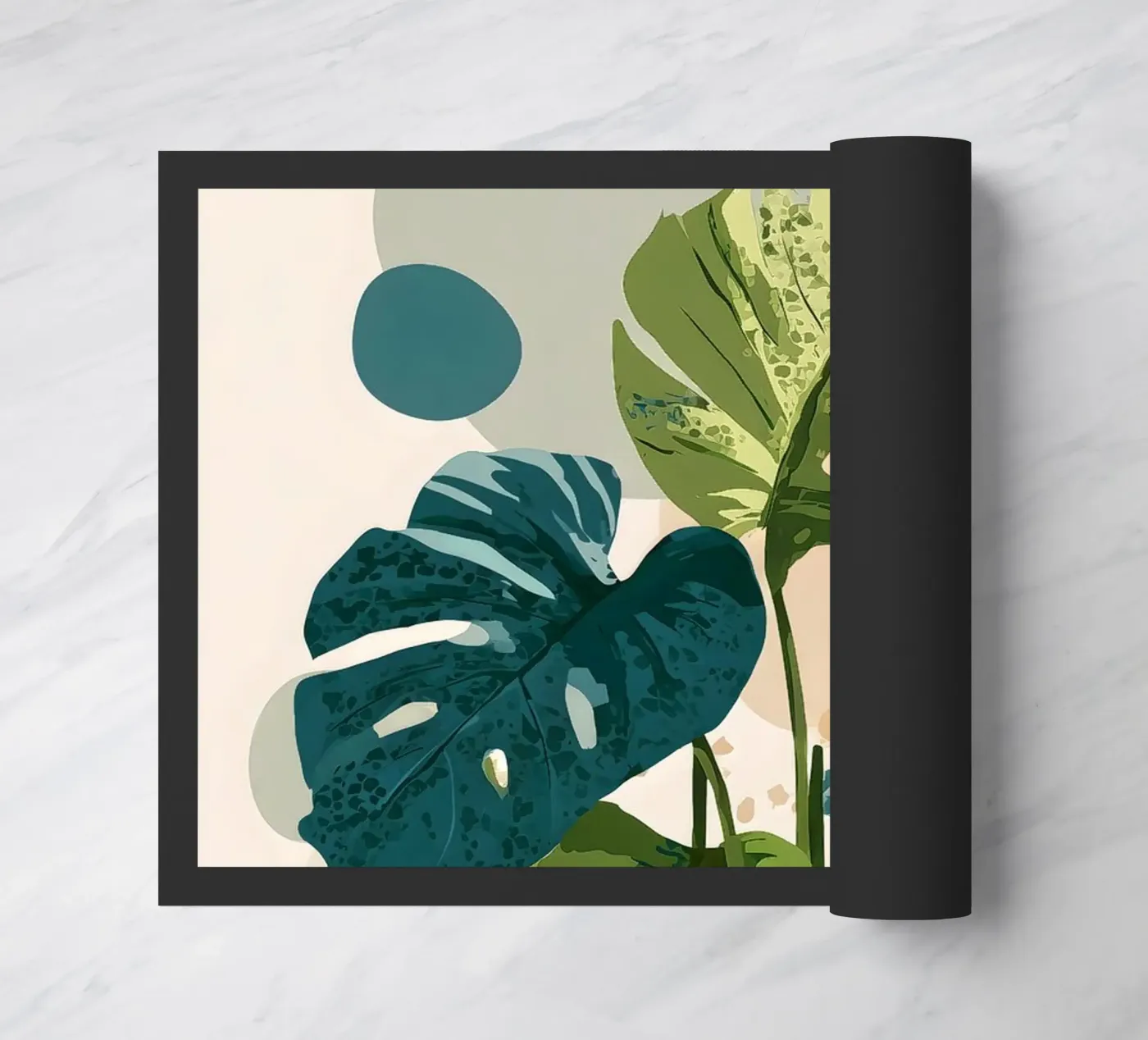 Monstera zerbino da Studio Verde