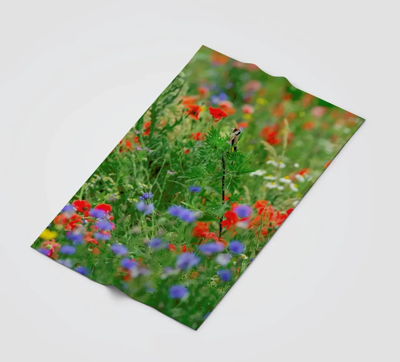 Wild Flowerfield coperta in pile da Curious Collections by Marielle Leenders