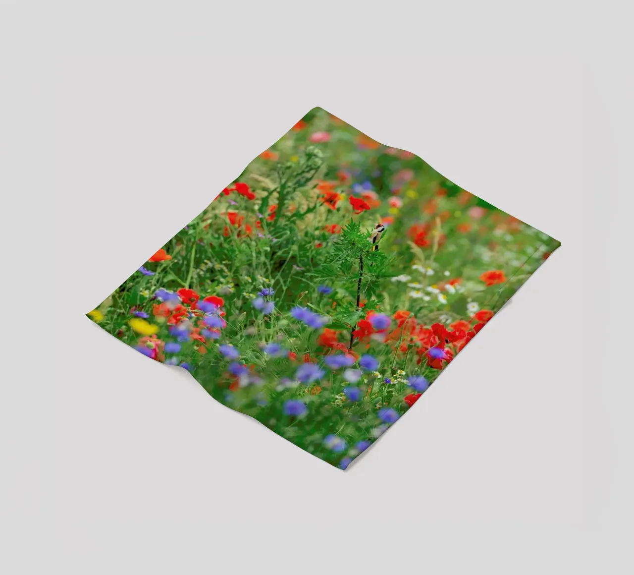 Wild Flowerfield coperta in pile da Curious Collections by Marielle Leenders