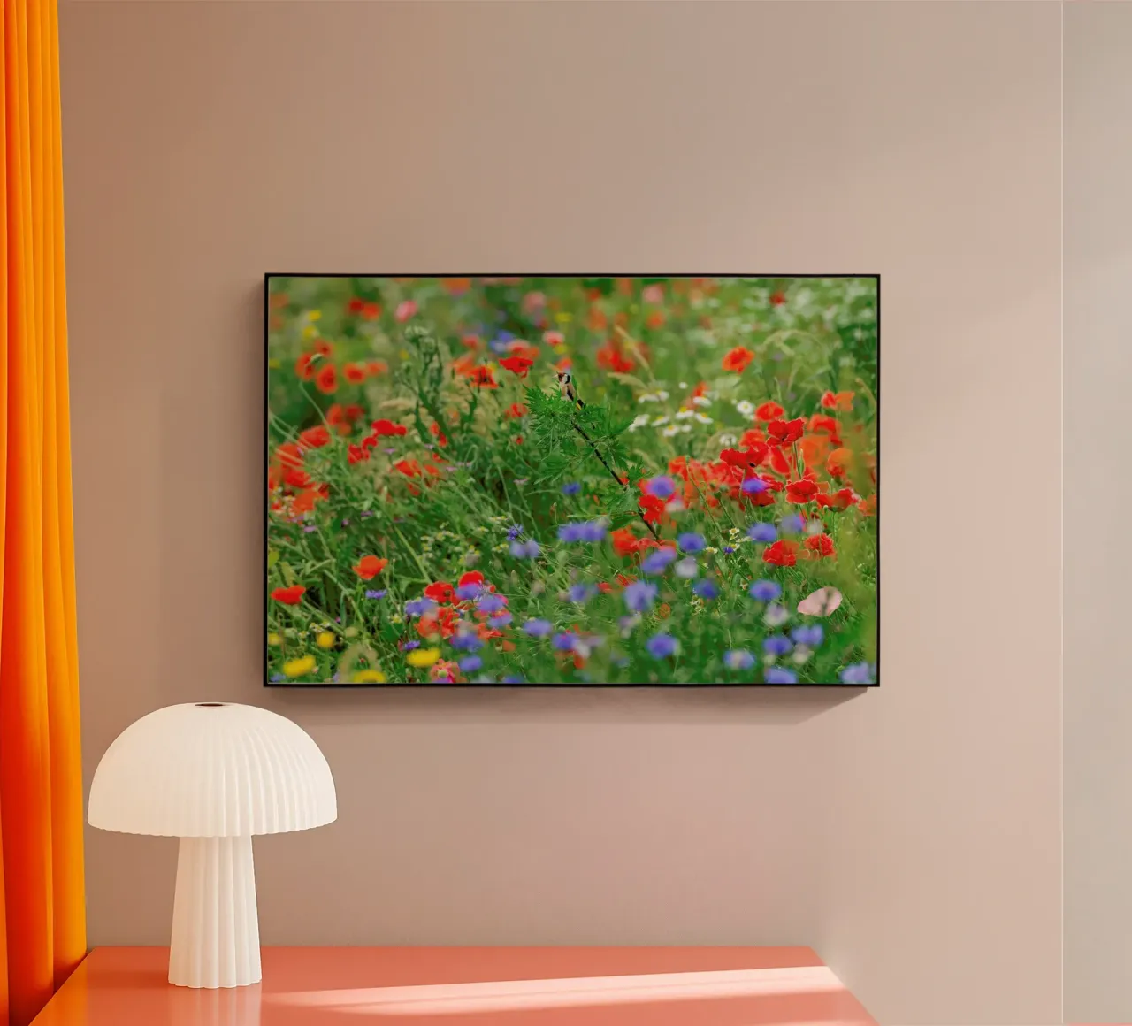 Wild Flowerfield plexiglass da Curious Collections by Marielle Leenders