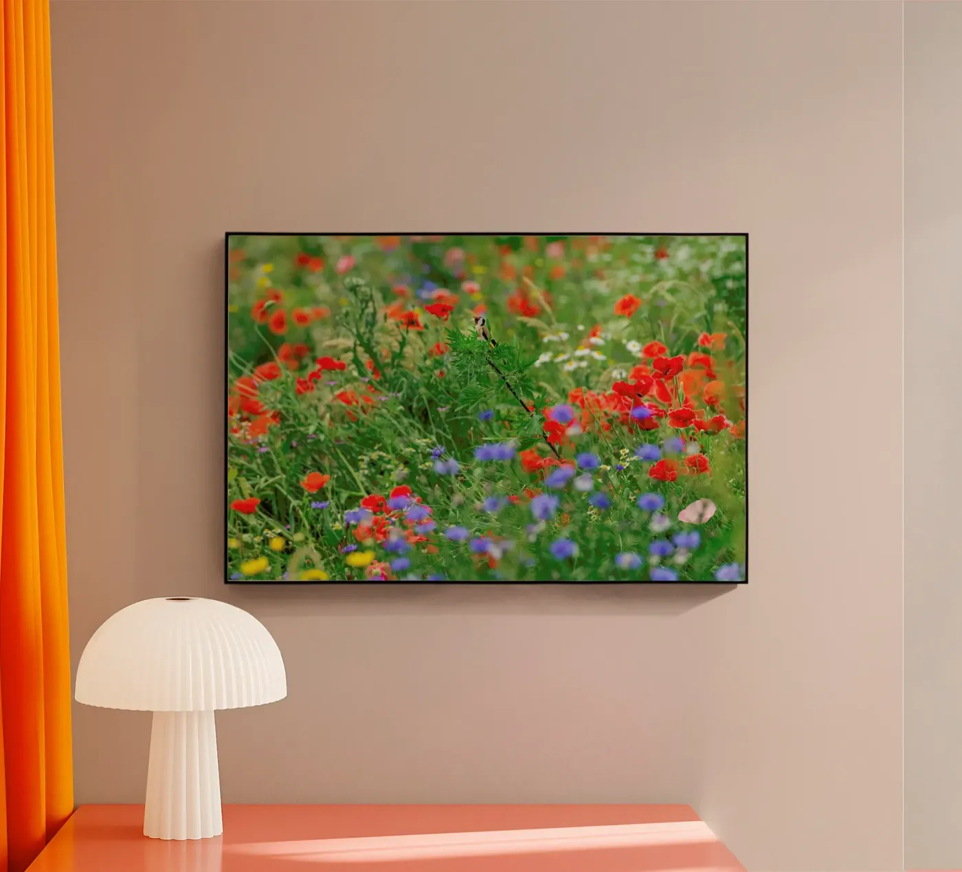 Wild Flowerfield plexiglass da Curious Collections by Marielle Leenders