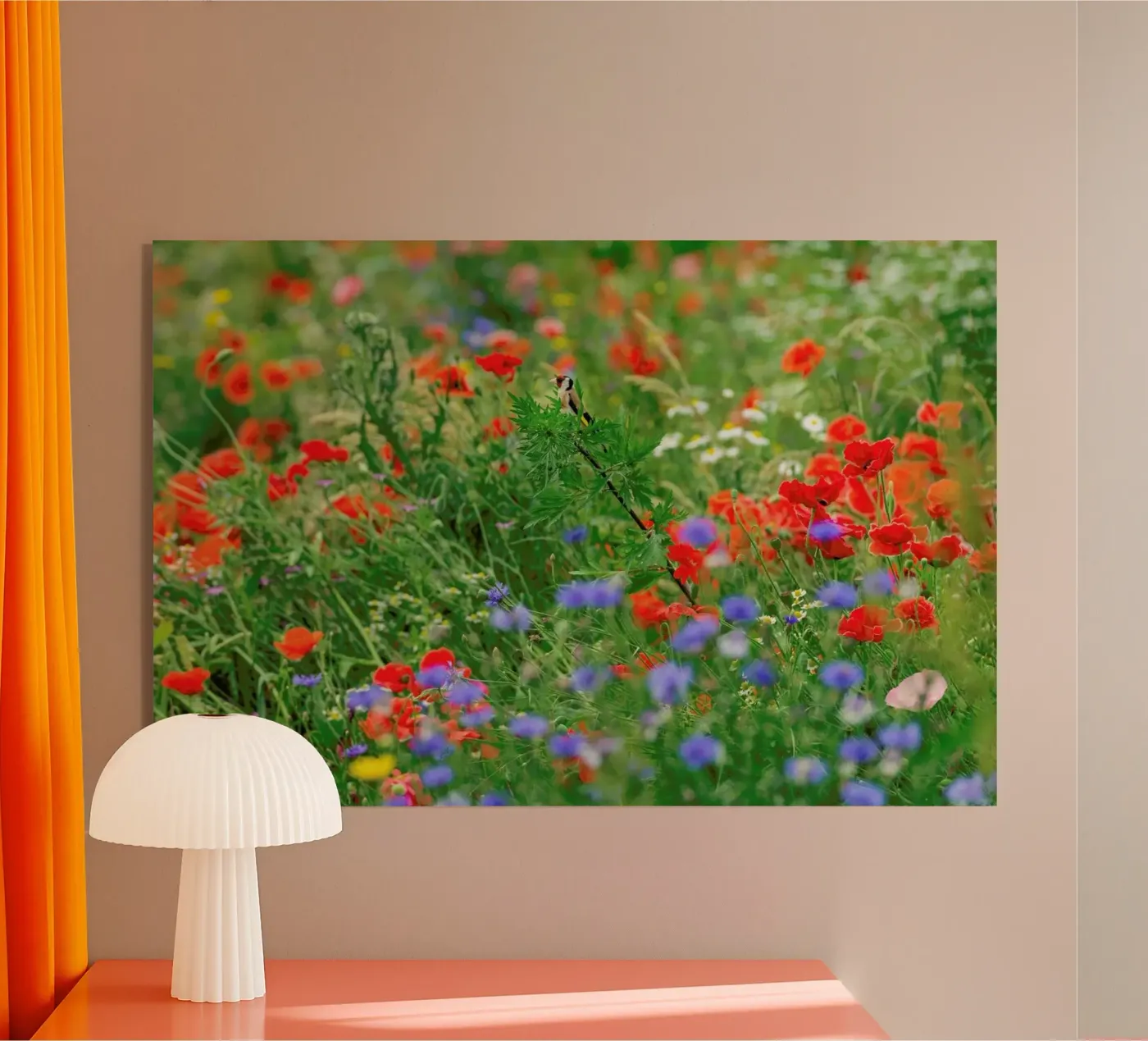 Wild Flowerfield plexiglass da Curious Collections by Marielle Leenders