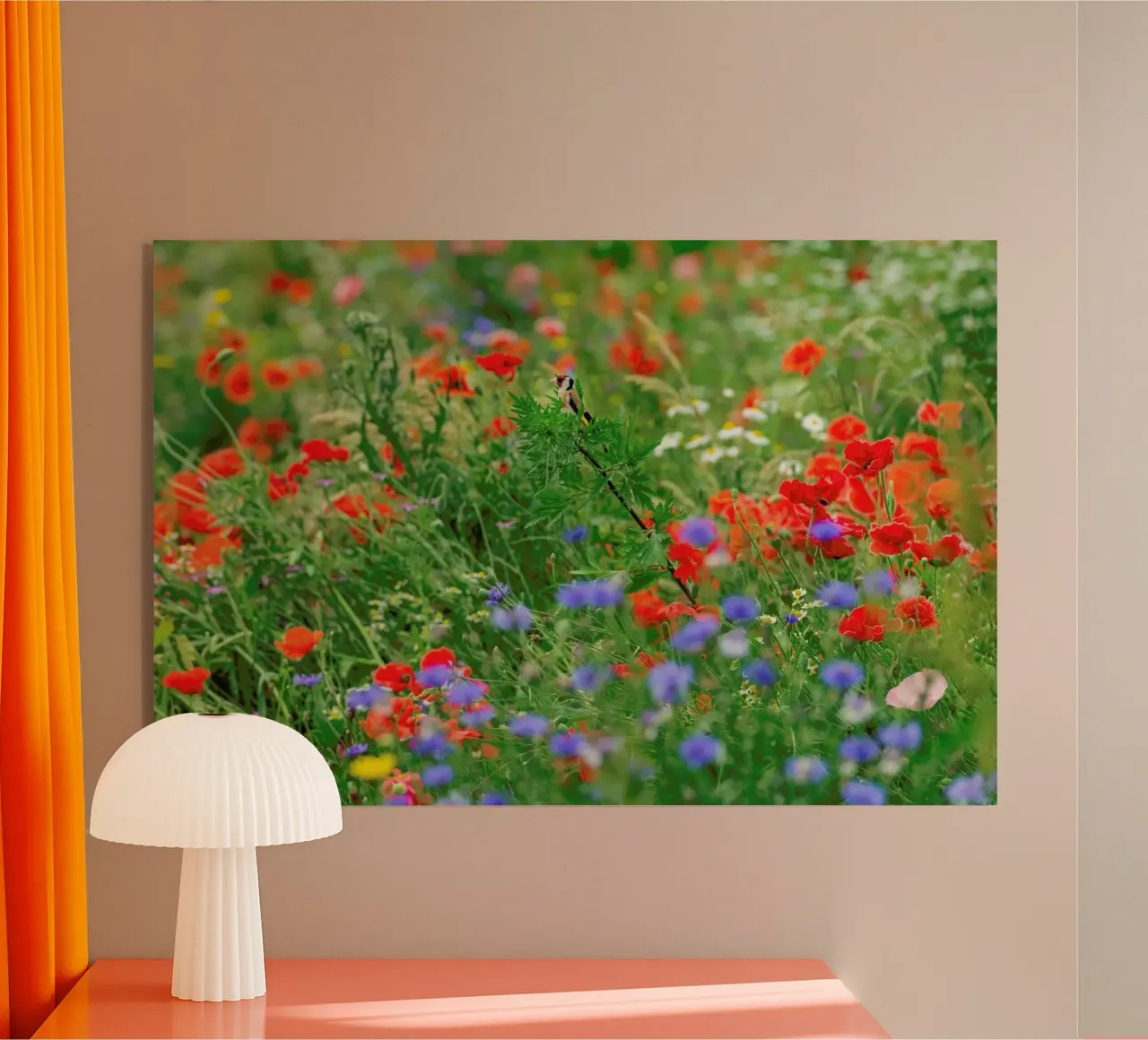 Wild Flowerfield plexiglass da Curious Collections by Marielle Leenders