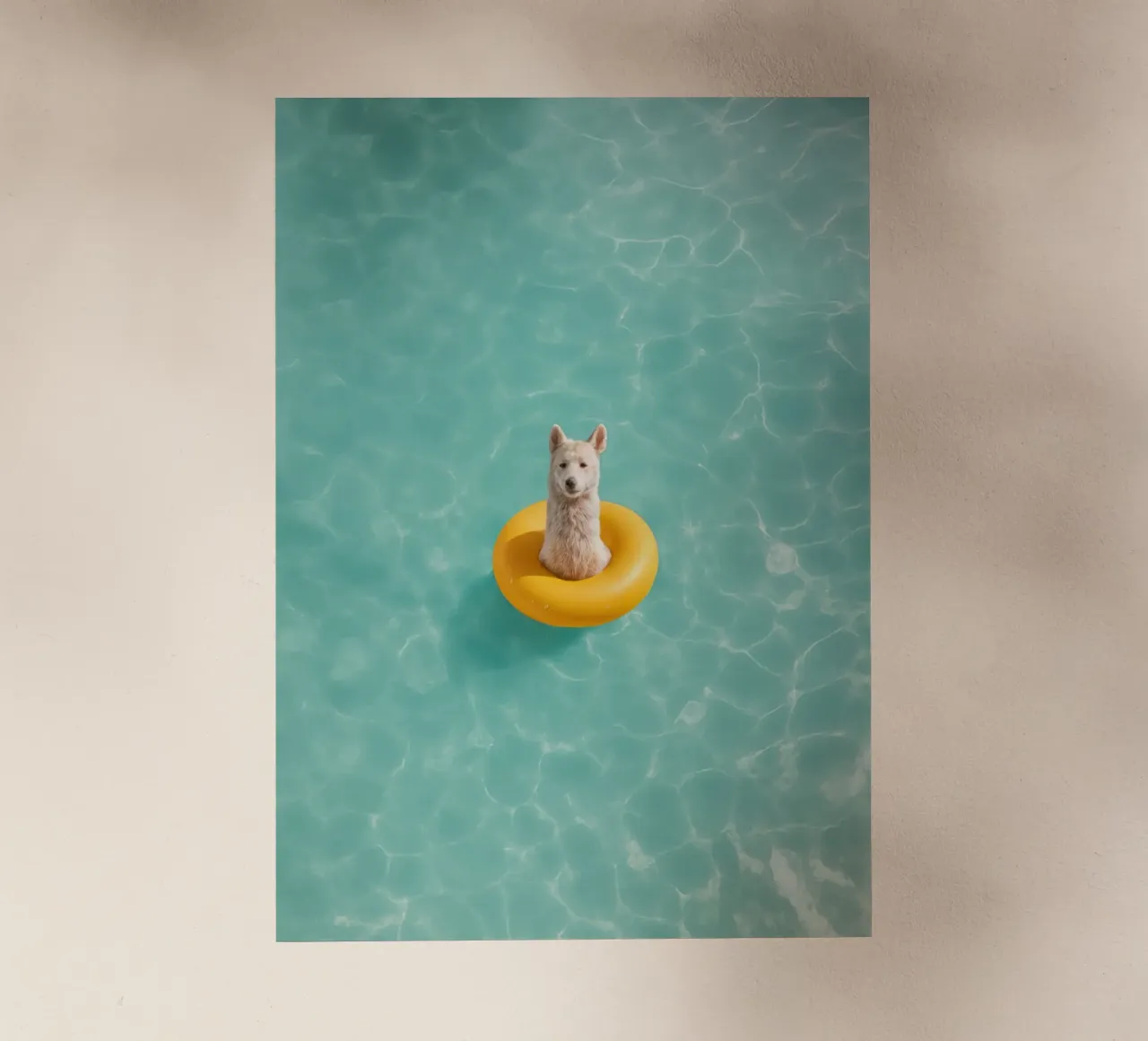Llama in Pool Backlit Folie von Attaboy Dsgn