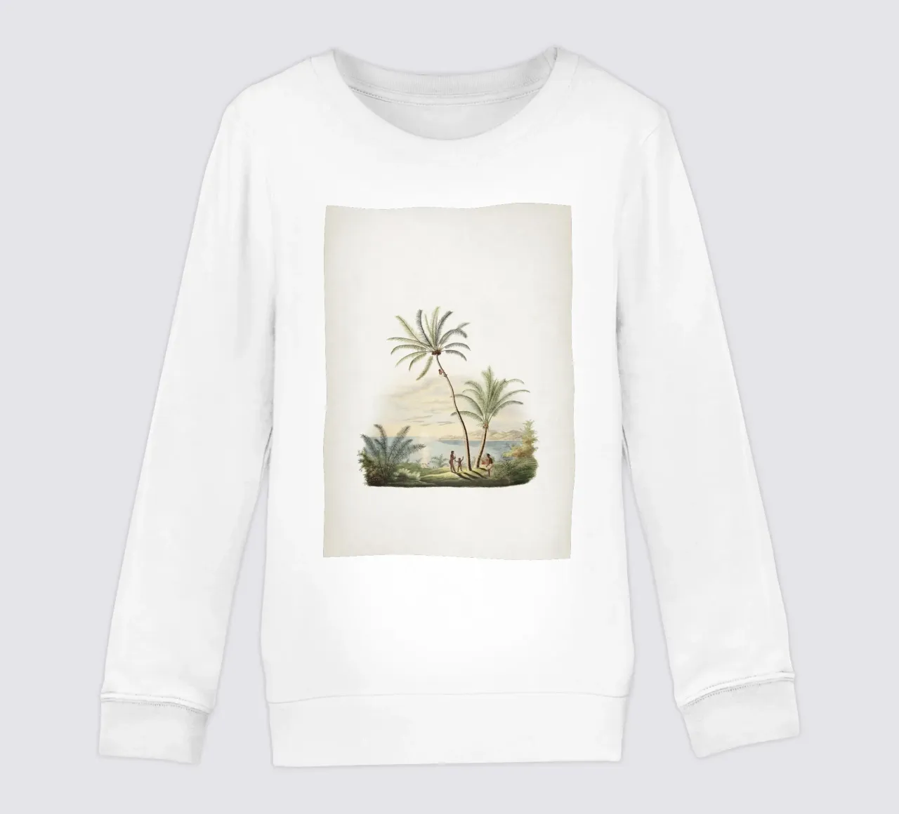 Vintage Martius 2 Cocos Nucifera felpa bambino da Vintage Print Collection