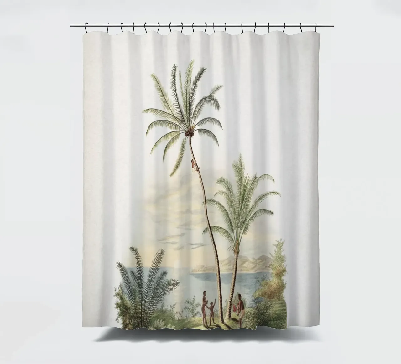 Vintage Martius 2 Cocos Nucifera tenda da doccia da Vintage Print Collection