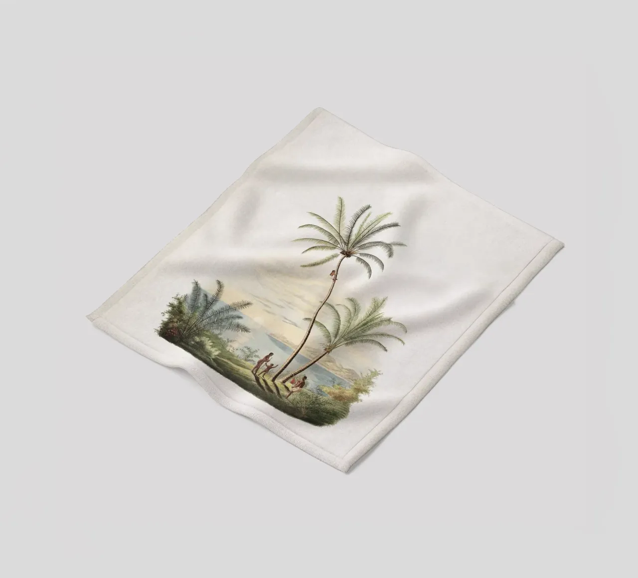 Vintage Martius 2 Cocos Nucifera coperta in pile da Vintage Print Collection
