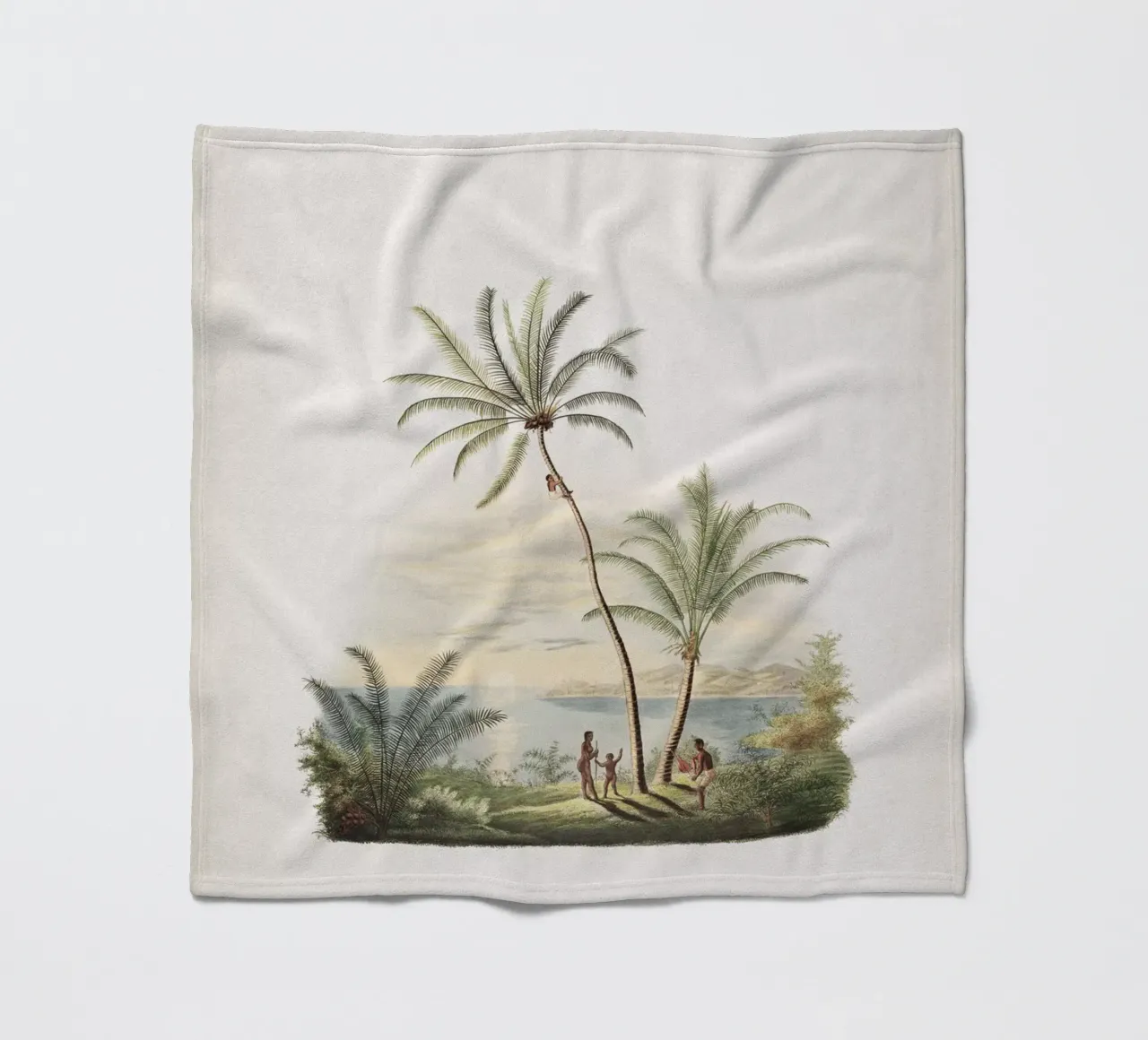 Vintage Martius 2 Cocos Nucifera coperta in pile da Vintage Print Collection