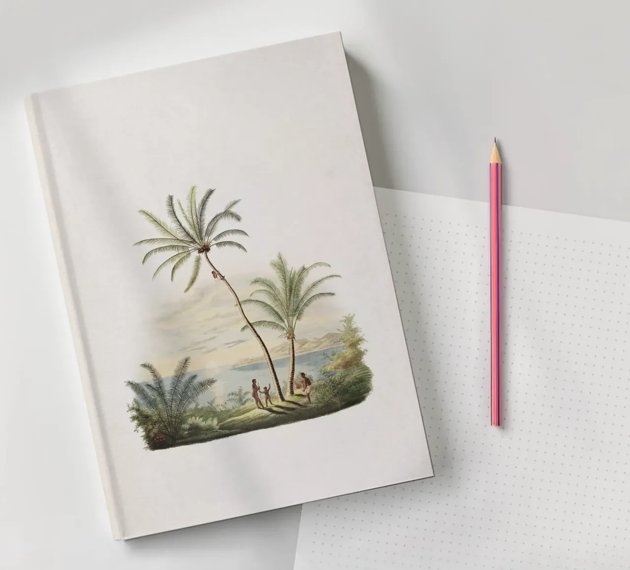 Vintage Martius 2 Cocos Nucifera diario da Vintage Print Collection