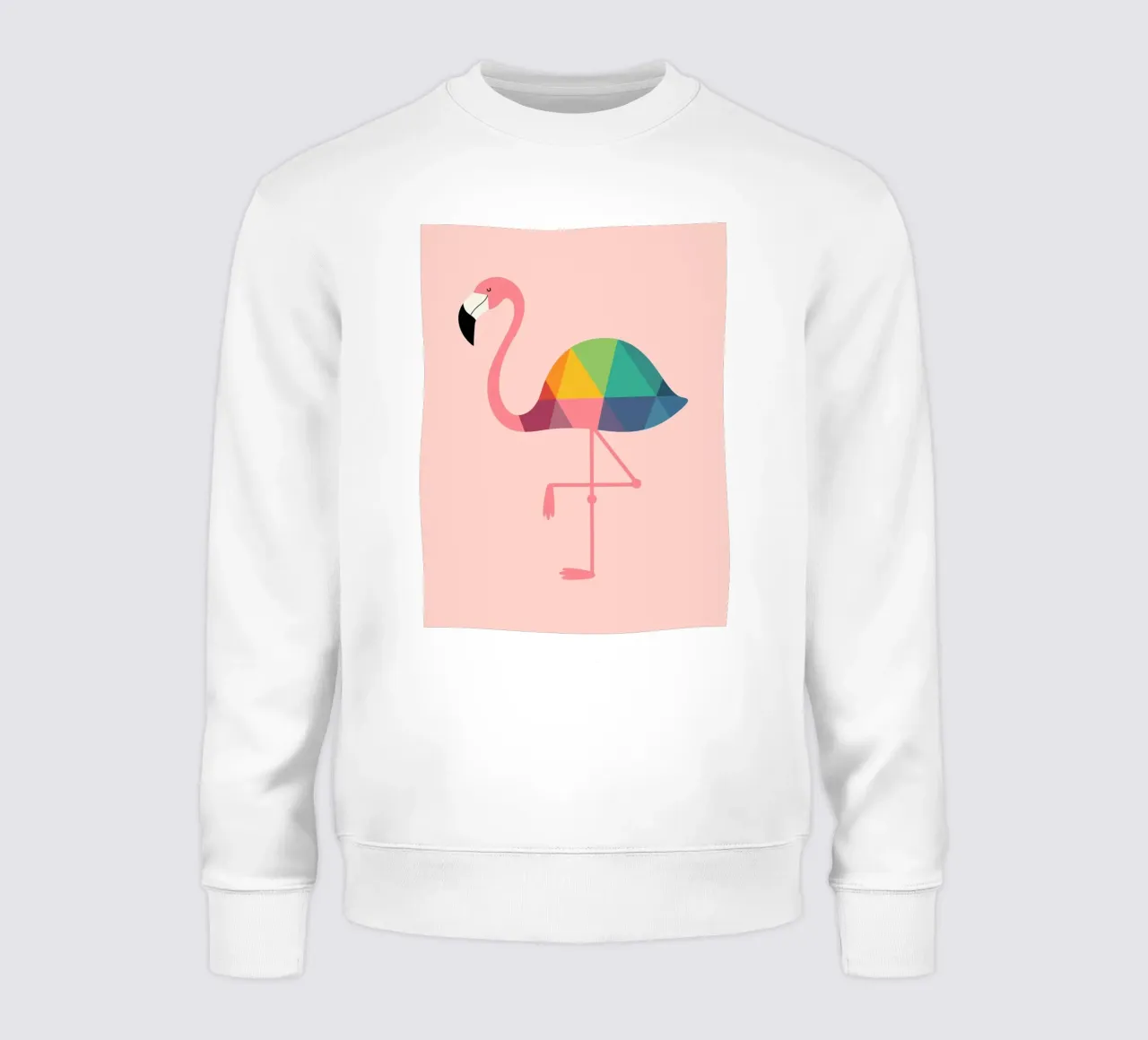 Rainbow Flamingo felpa da Alana Gallerie