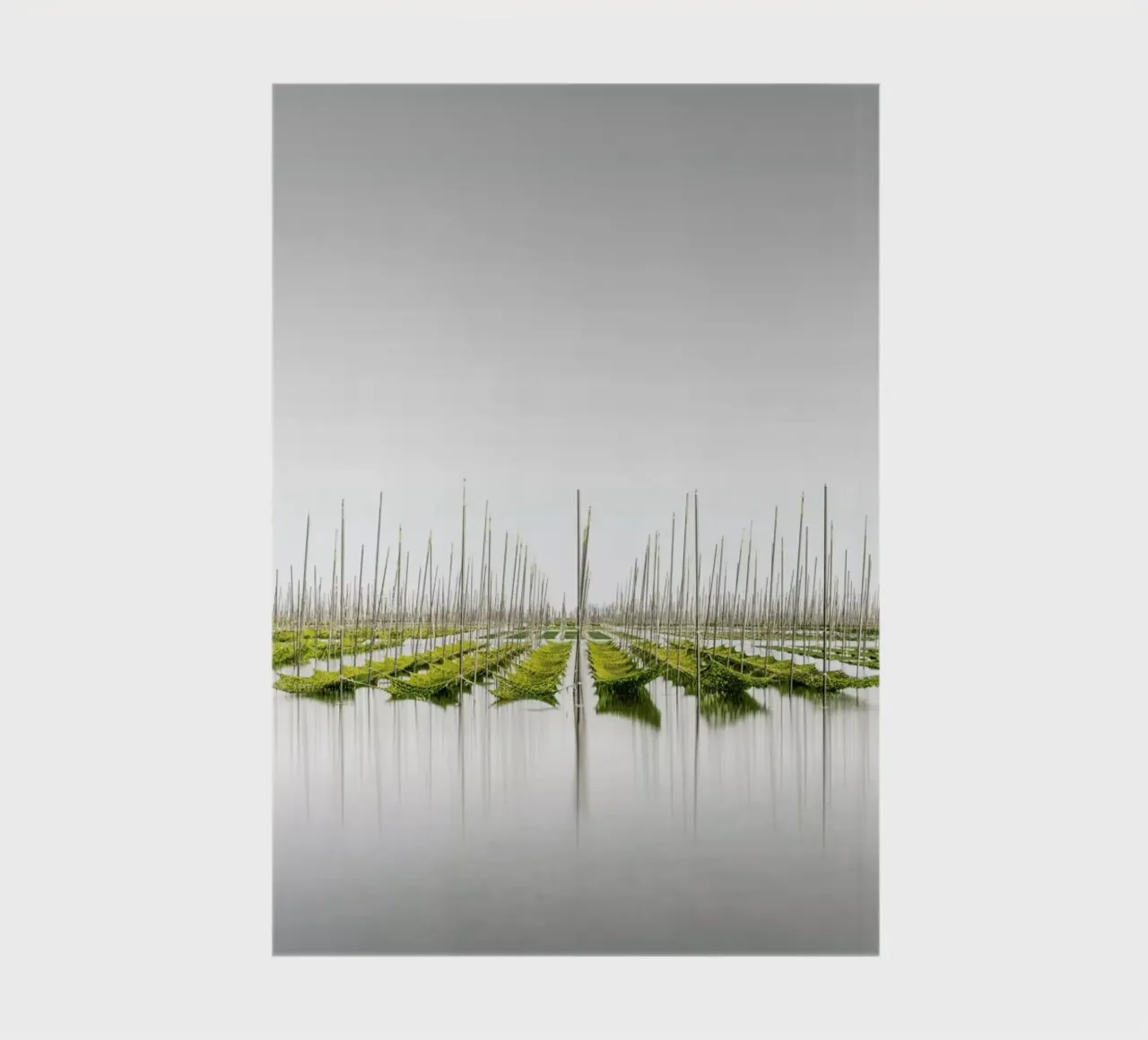 Nori Ii notebook by Håggard Photography | Ronny Behnert
