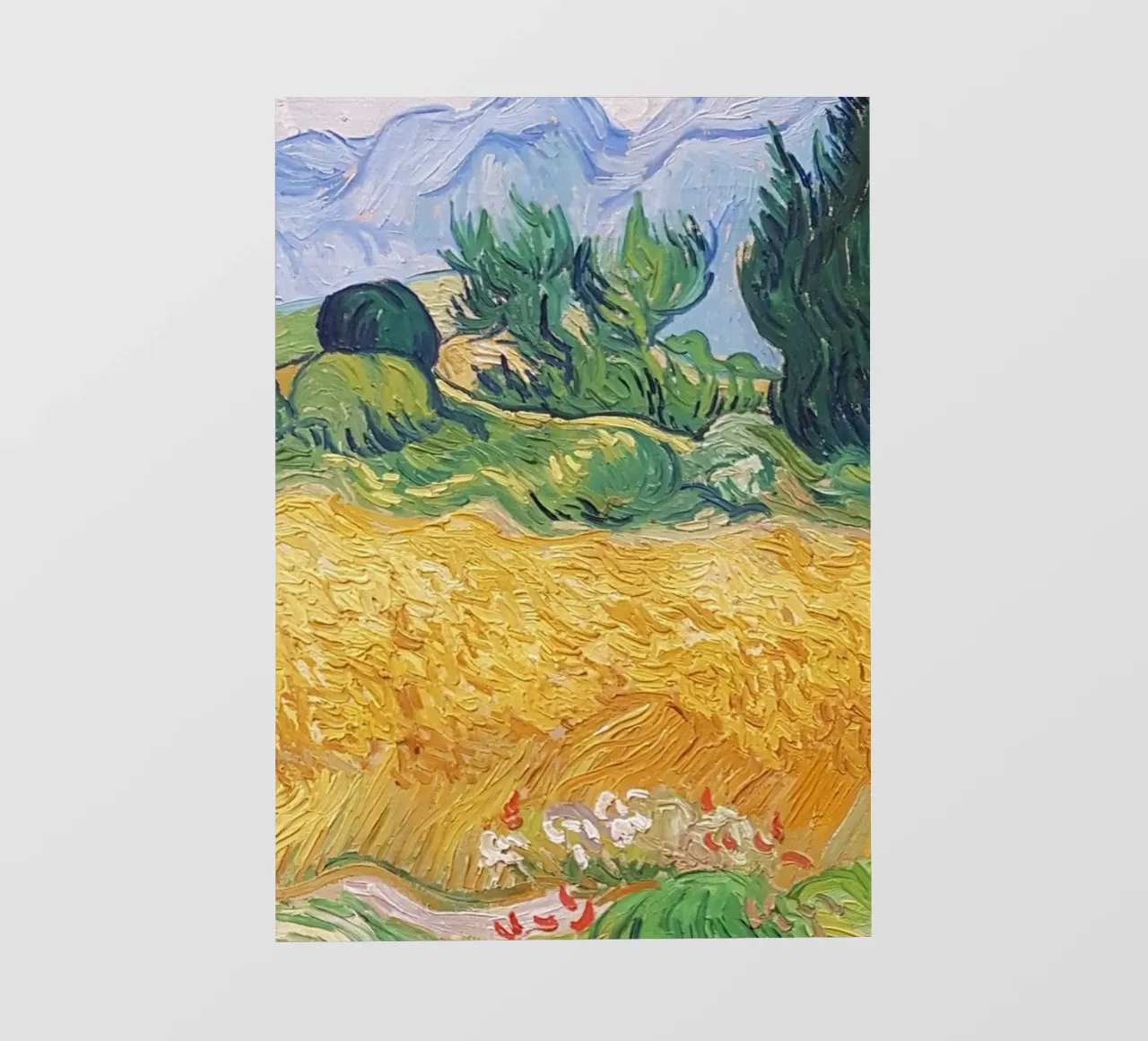natural view of wheat fields backlit film by cloud shop