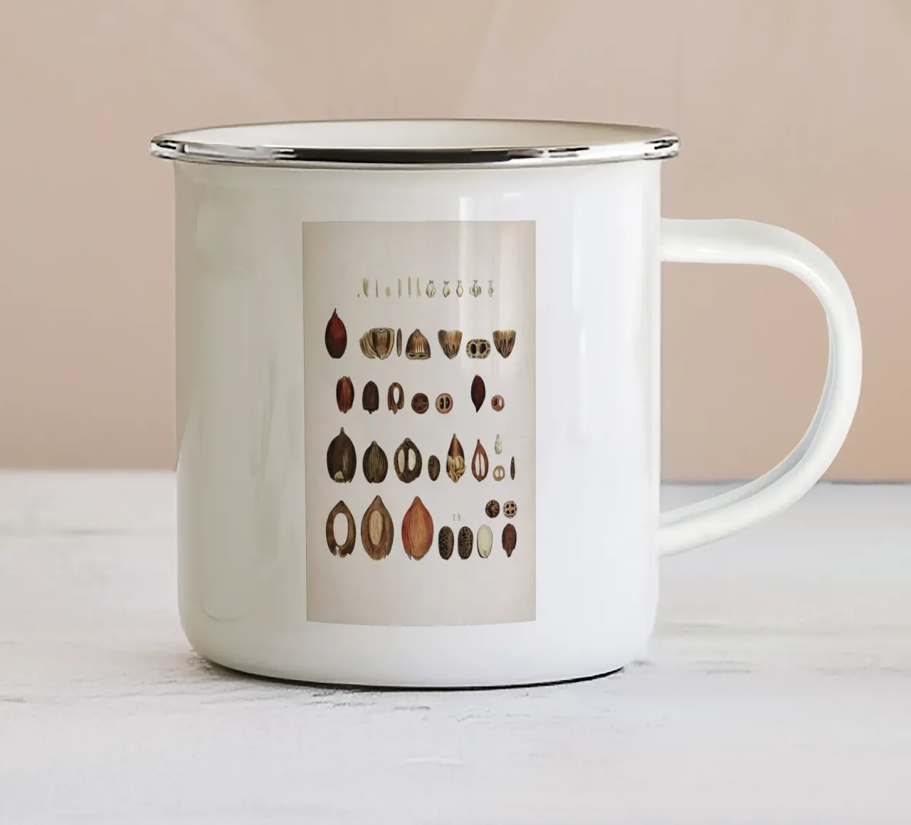 Vintage Martius 4 Cocos Lapidea tazza in smalto da Vintage Print Collection