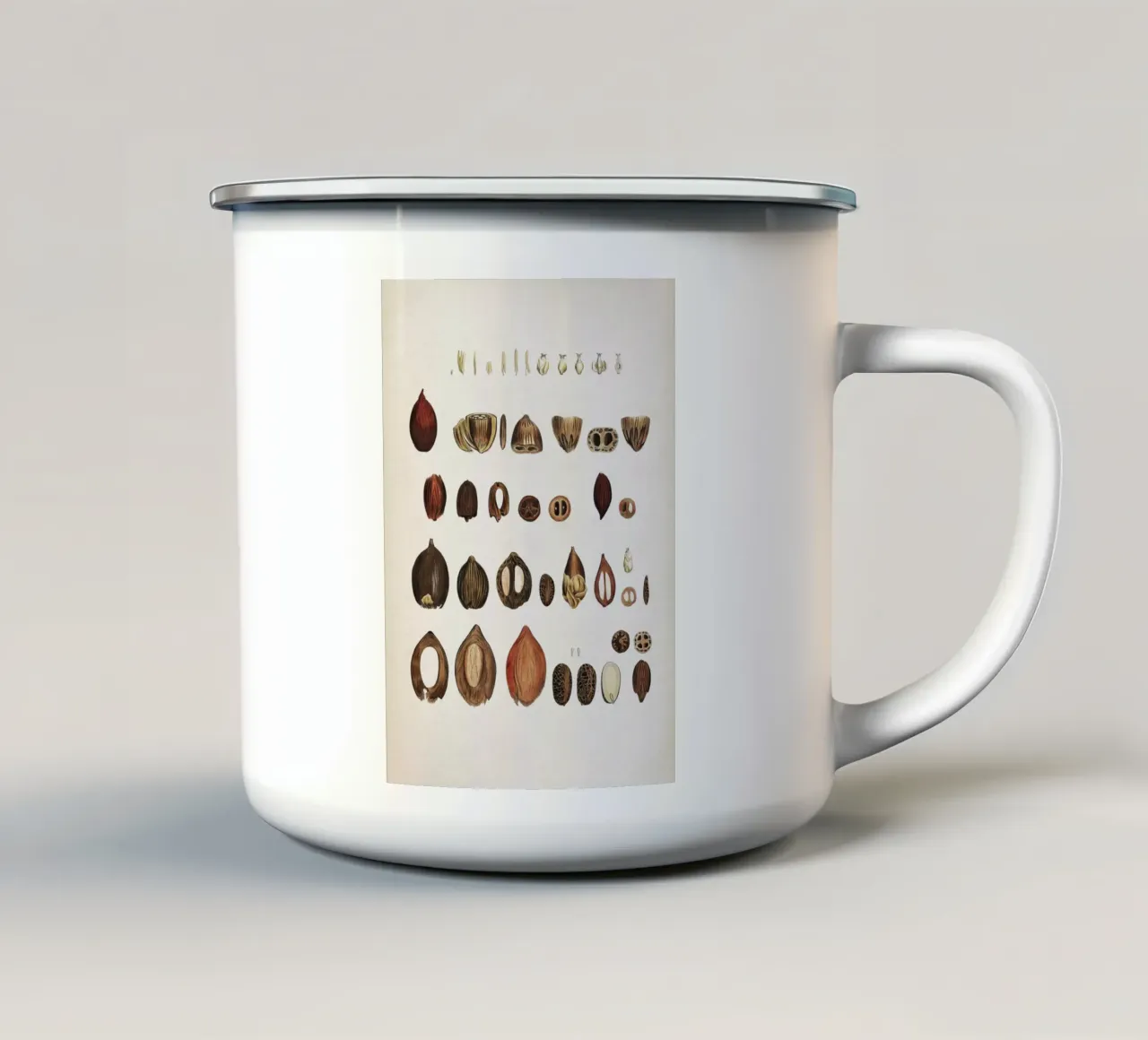 Vintage Martius 4 Cocos Lapidea tazza in smalto da Vintage Print Collection