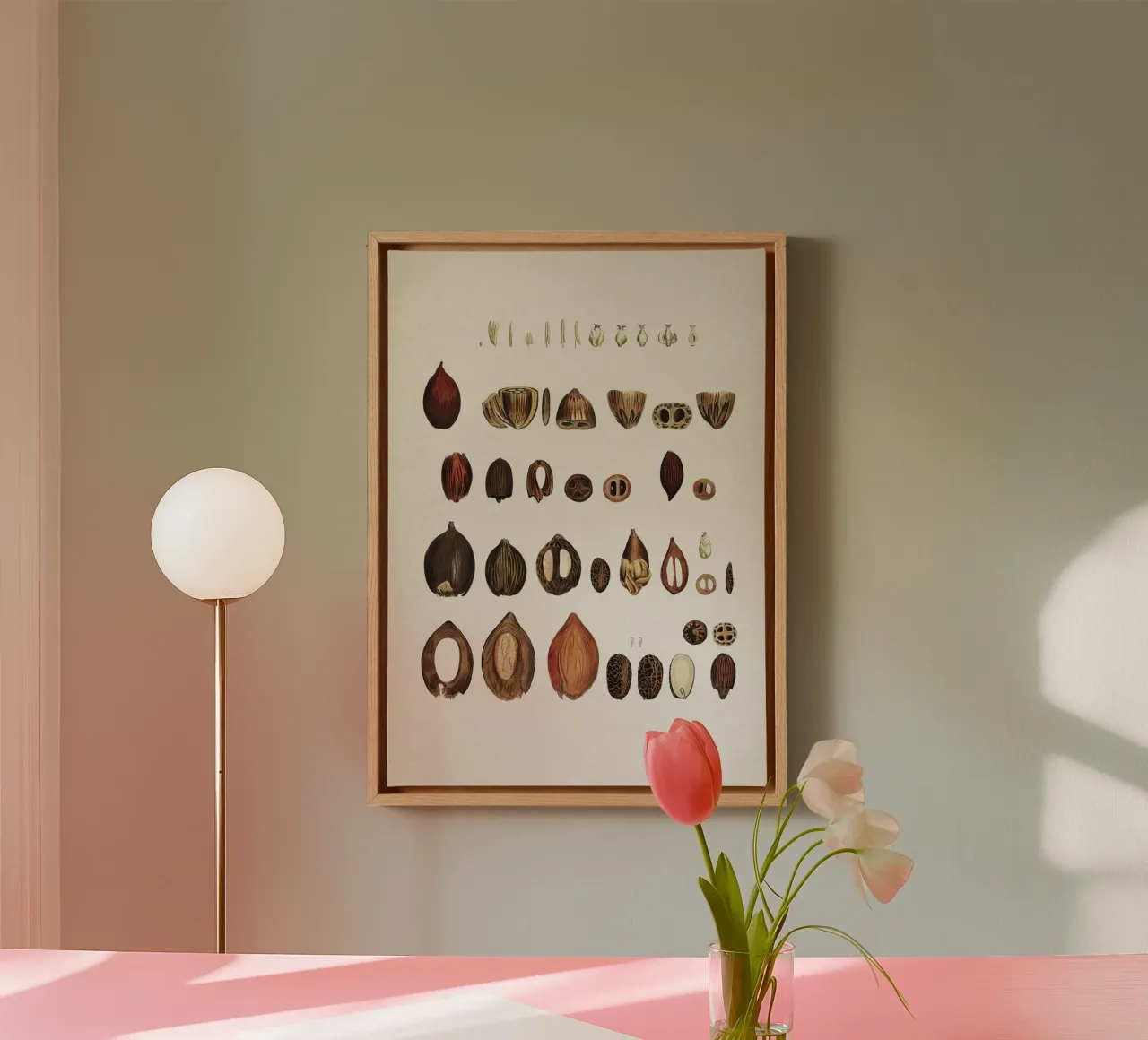 Vintage Martius 4 Cocos Lapidea canvas met Baklijst van Vintage Print Collection