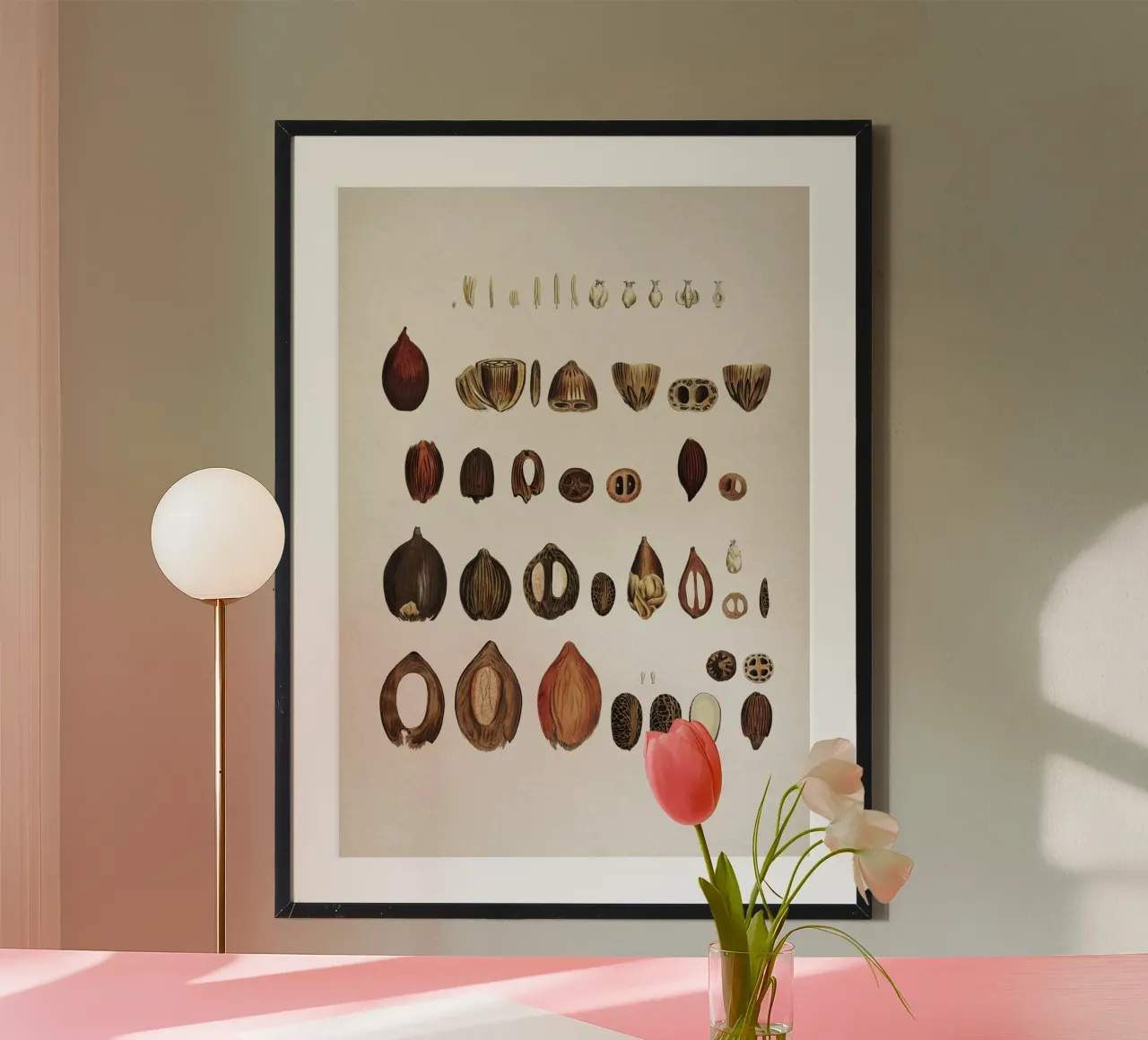 Vintage Martius 4 Cocos Lapidea poster da Vintage Print Collection