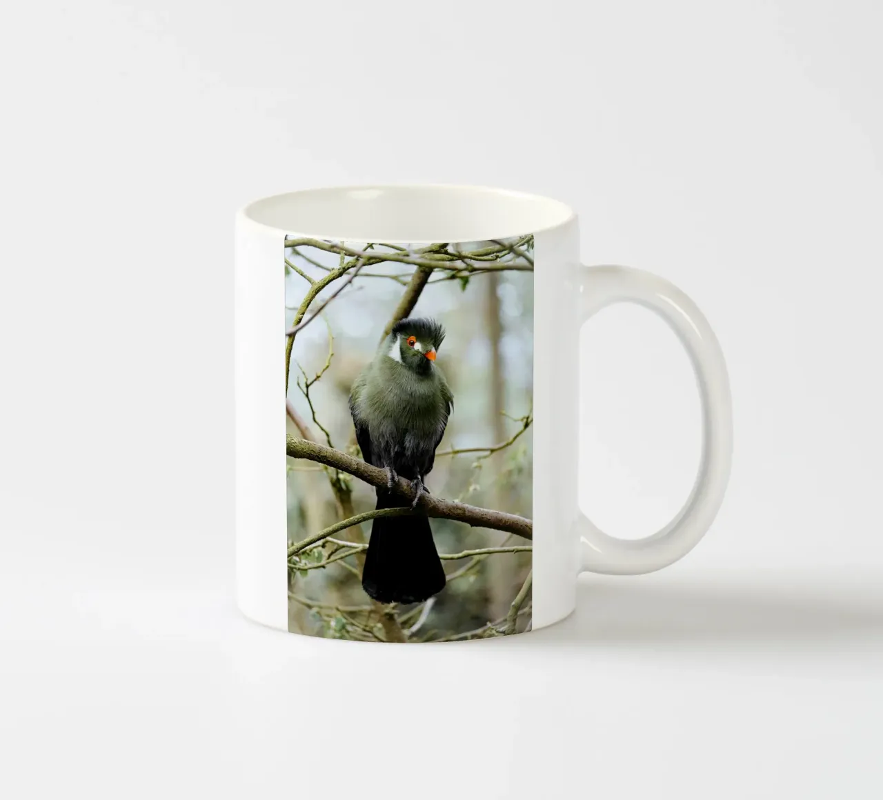 uccello di ramo tazza in ceramica da animal story home