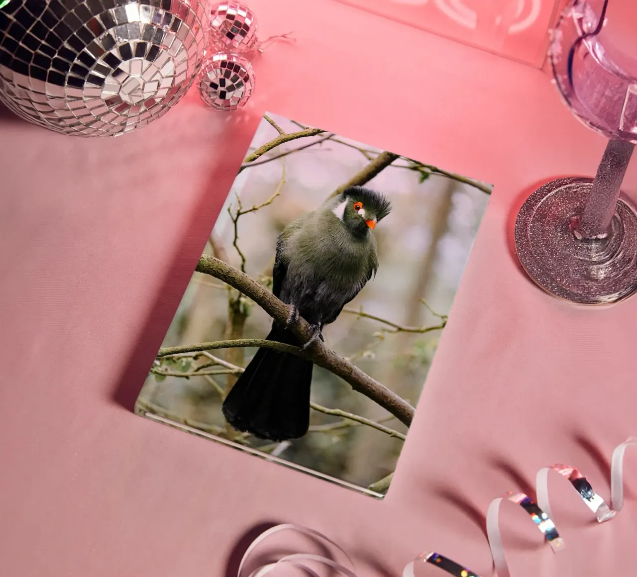 oiseau à branches carnet de notes de animal story home