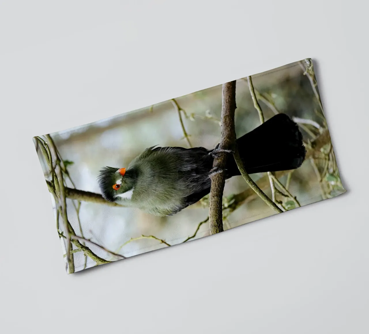 branch bird towel by animal story home