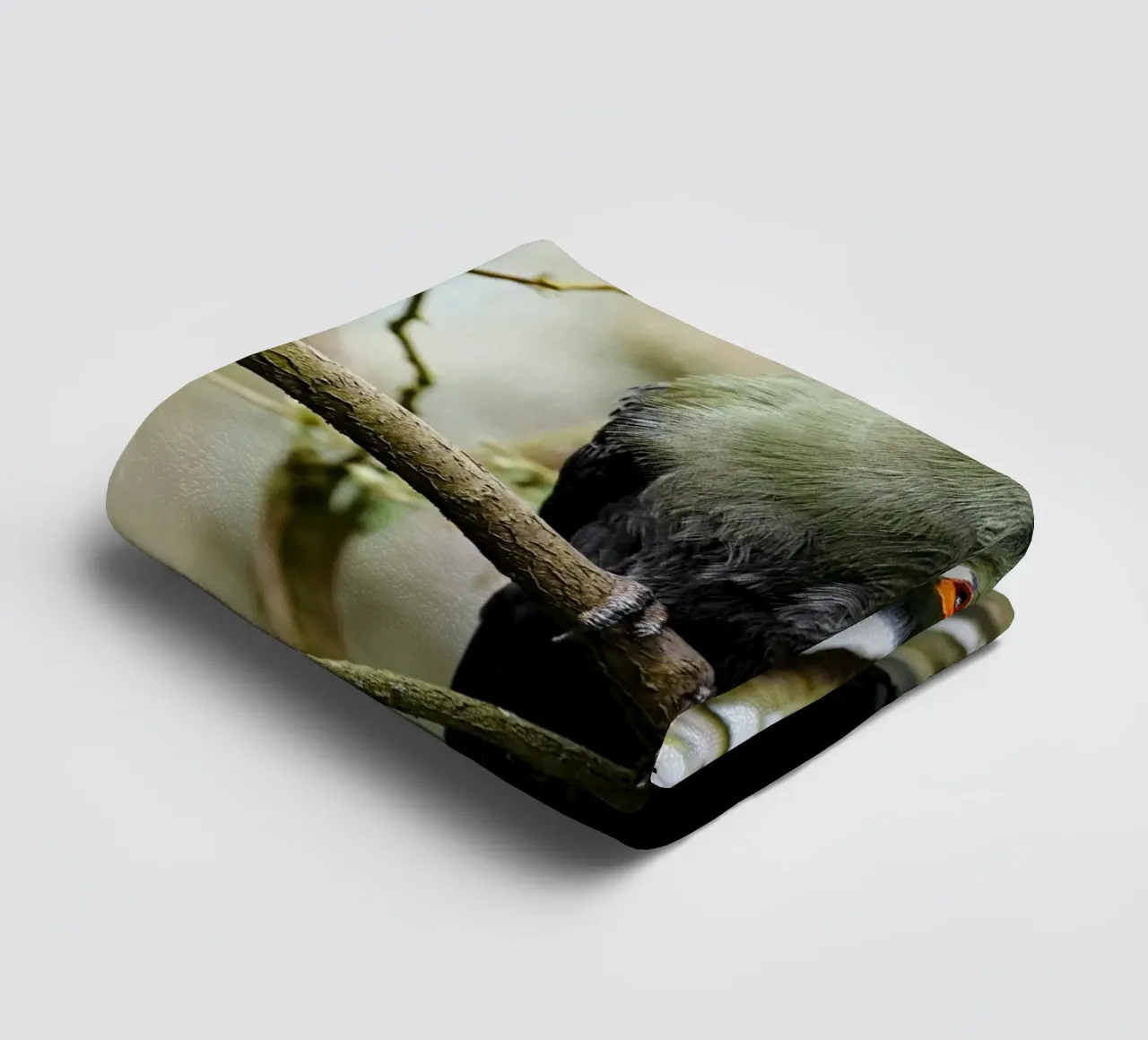 branch bird towel by animal story home
