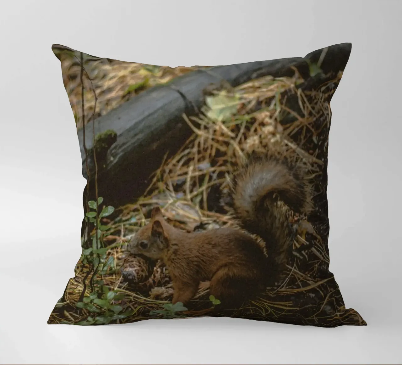 scoiattolo nella foresta cuscino da animal story home