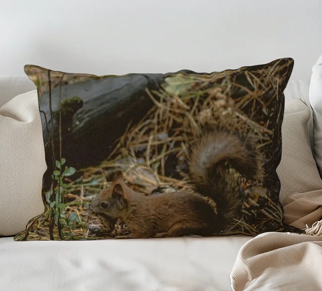 scoiattolo nella foresta cuscino da animal story home