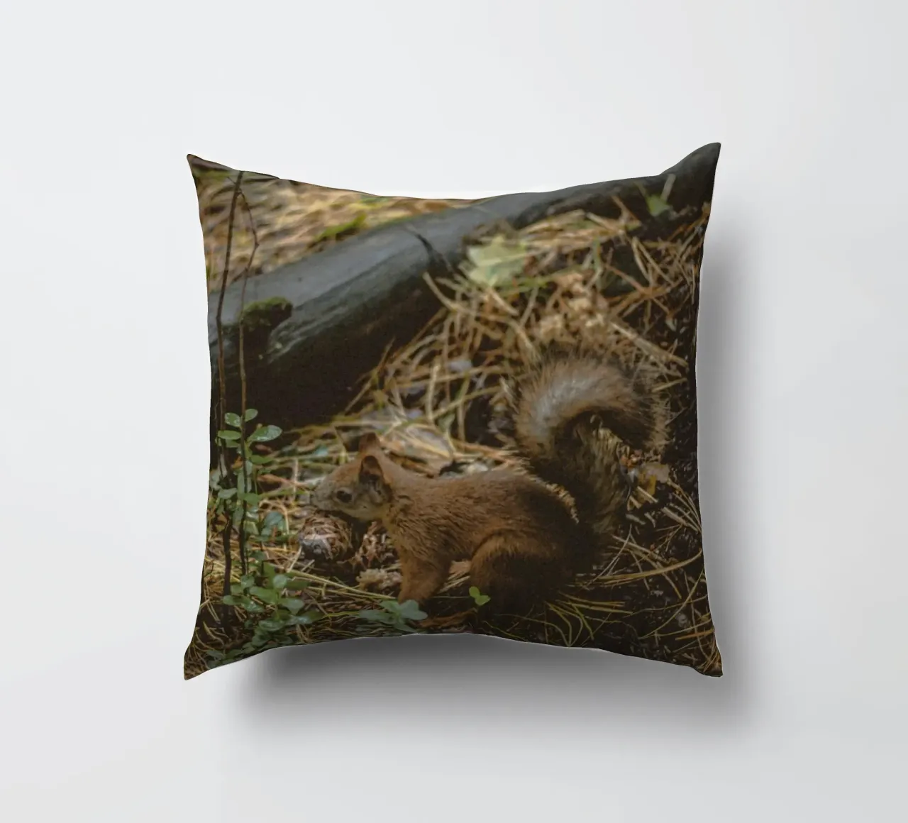 scoiattolo nella foresta cuscino da animal story home