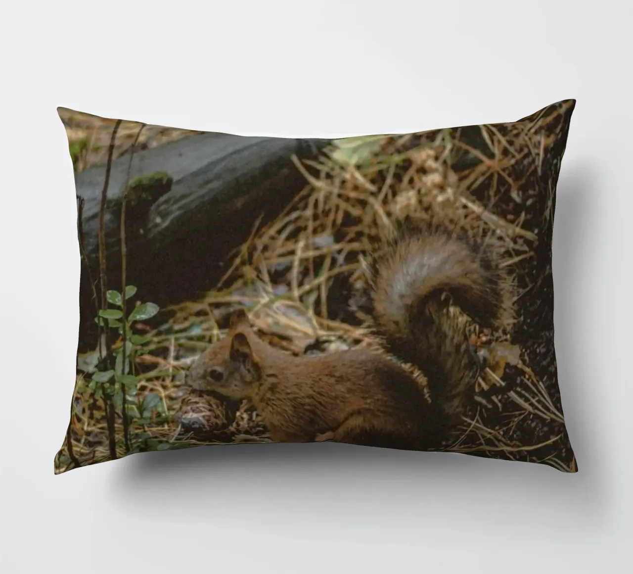 scoiattolo nella foresta cuscino da animal story home