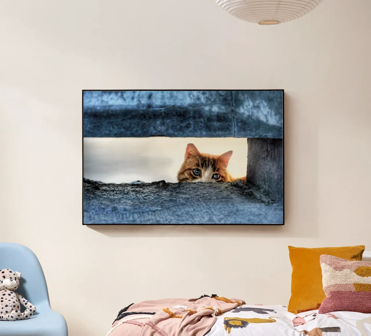 gatto occhi blu plexiglass da animal story home
