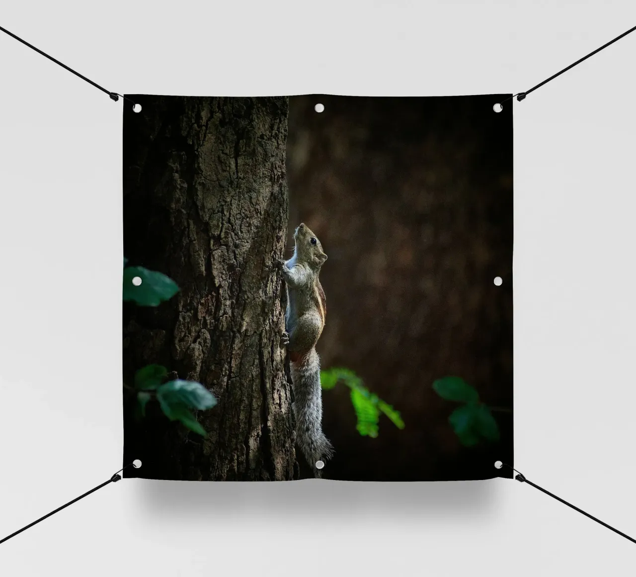 albero dello scoiattolo telo in pvc da animal story home