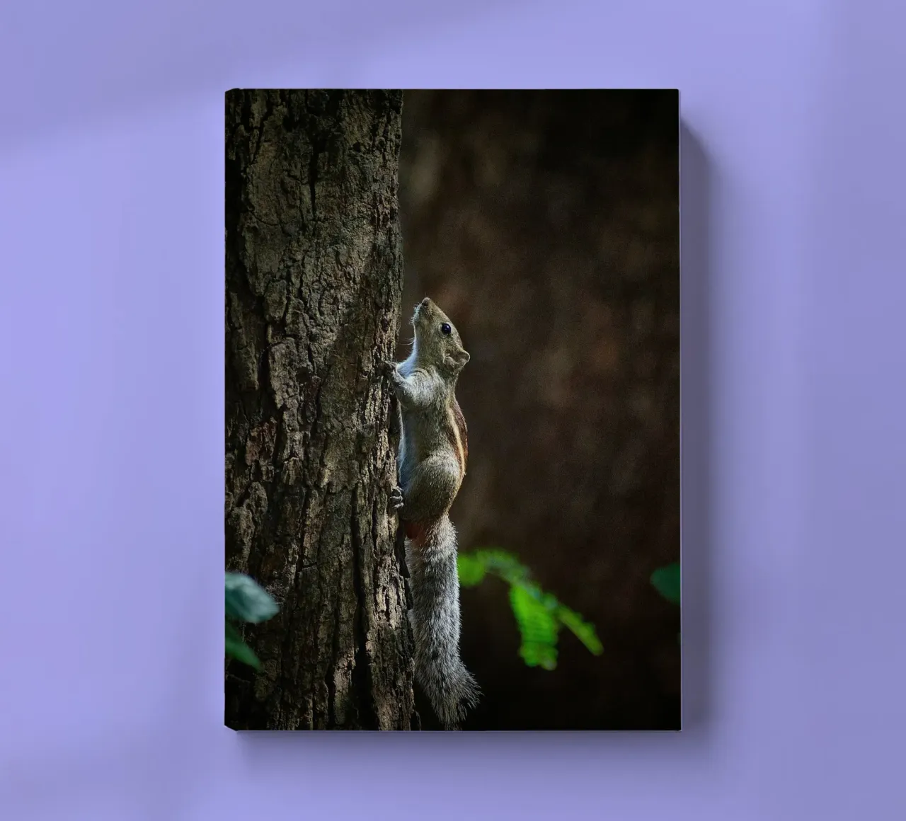 squirrel tree notebook by animal story home
