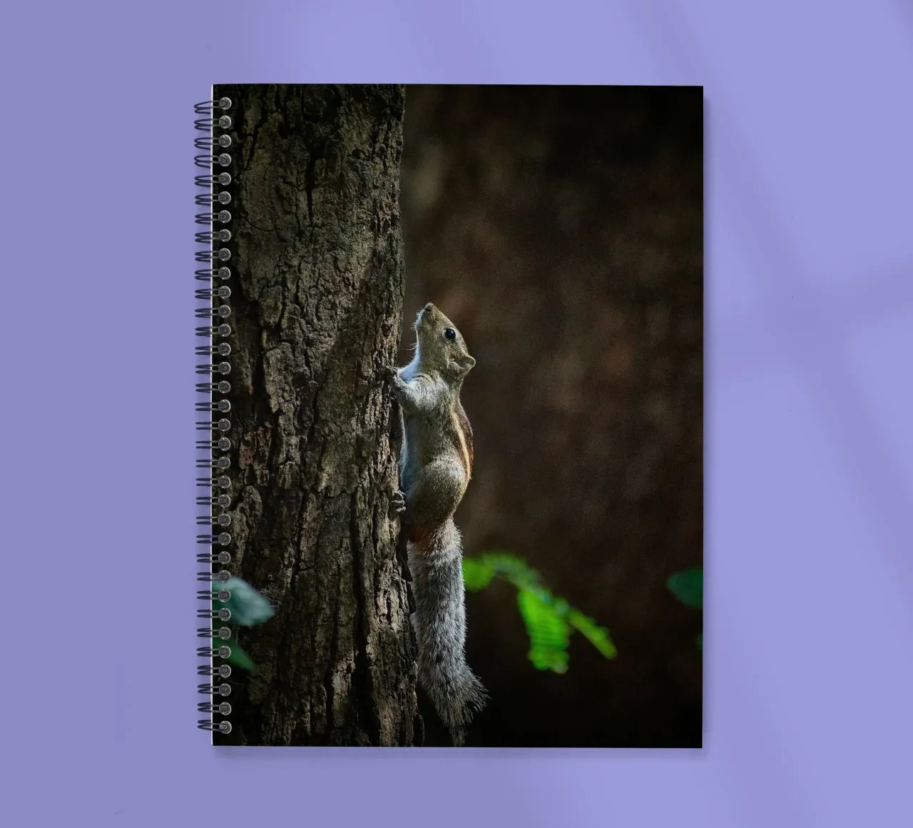 squirrel tree spiral notebook by animal story home