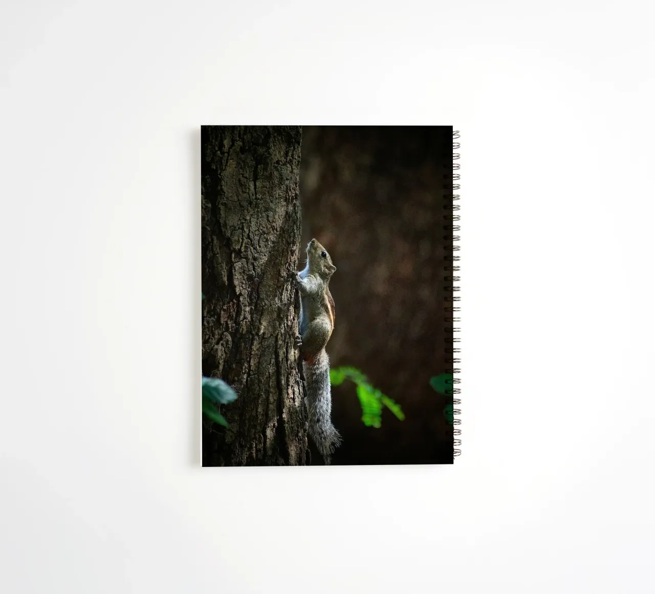 squirrel tree spiral notebook by animal story home