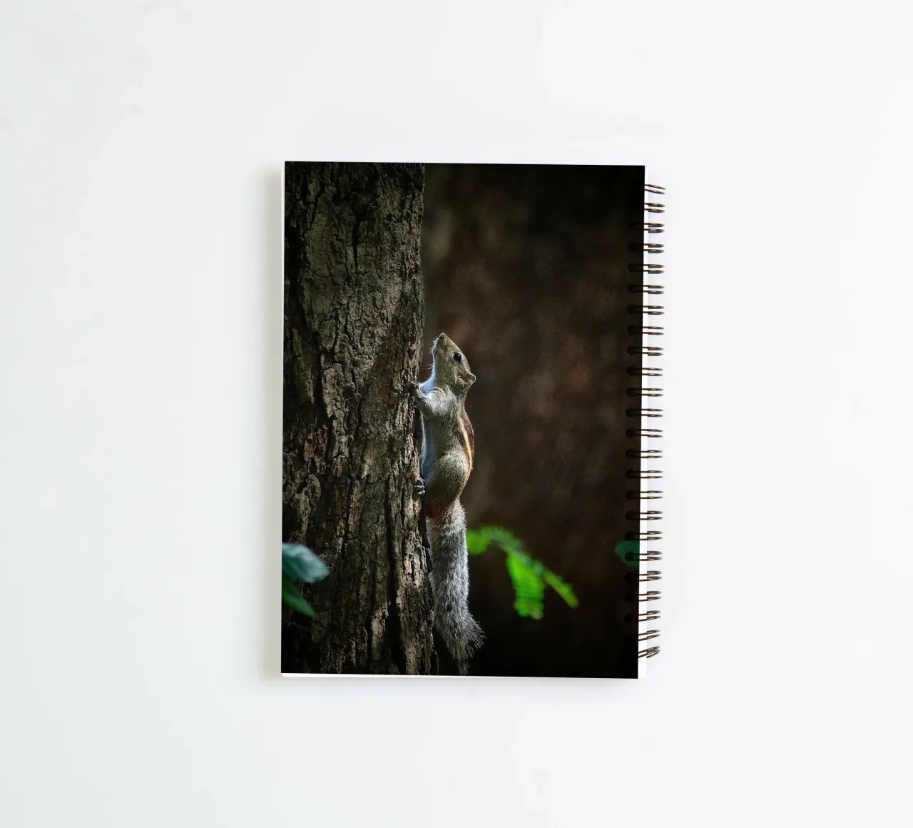 squirrel tree spiral notebook by animal story home