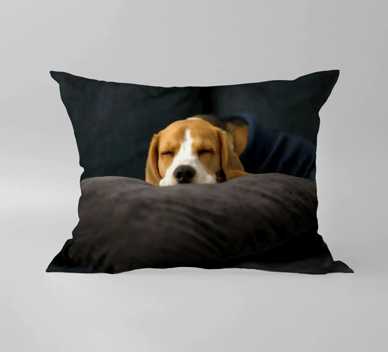 cane beagle cuscino da animal story home
