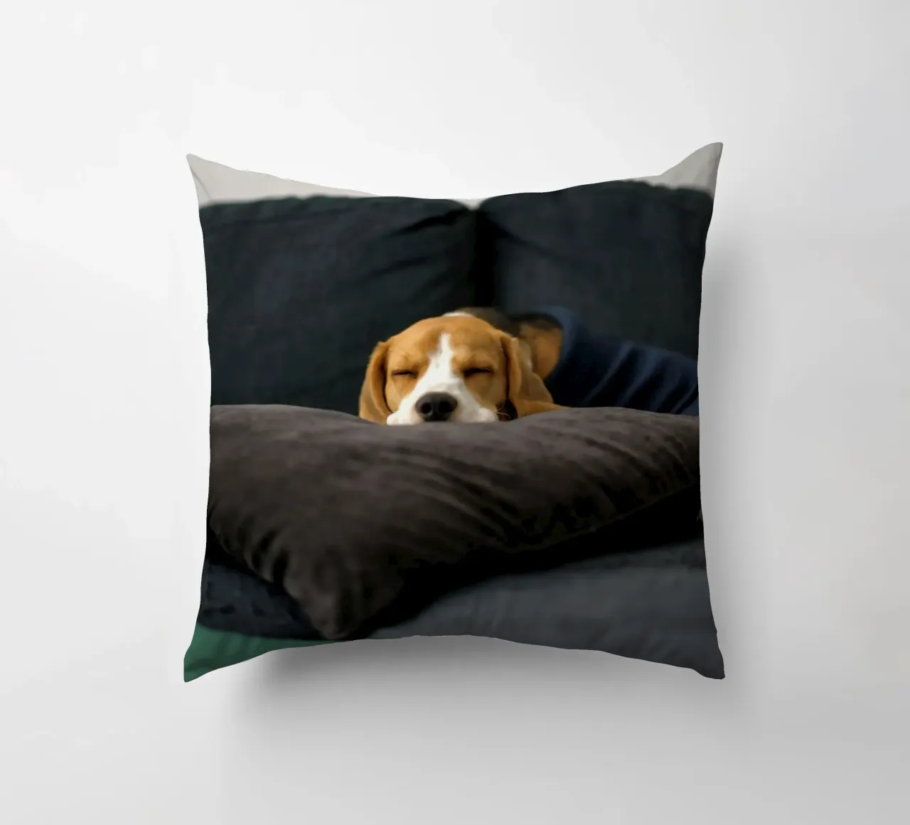 cane beagle cuscino da animal story home