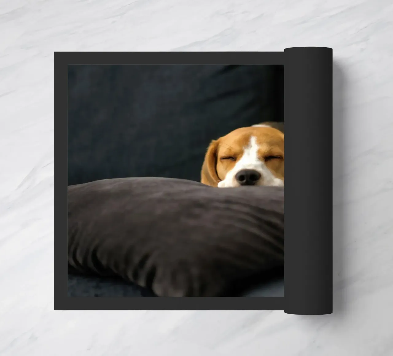 cane beagle zerbino da animal story home