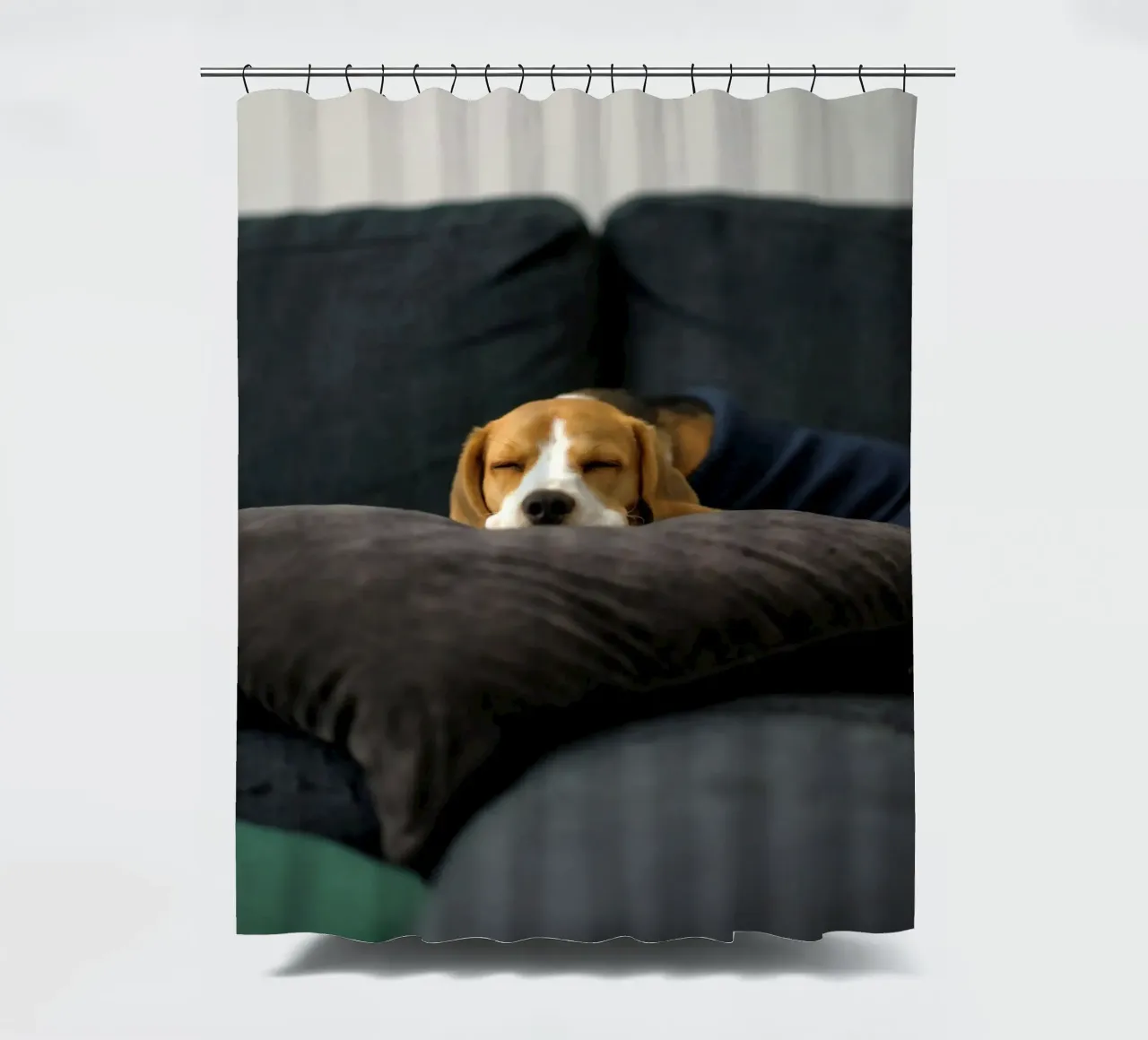 cane beagle tenda da doccia da animal story home