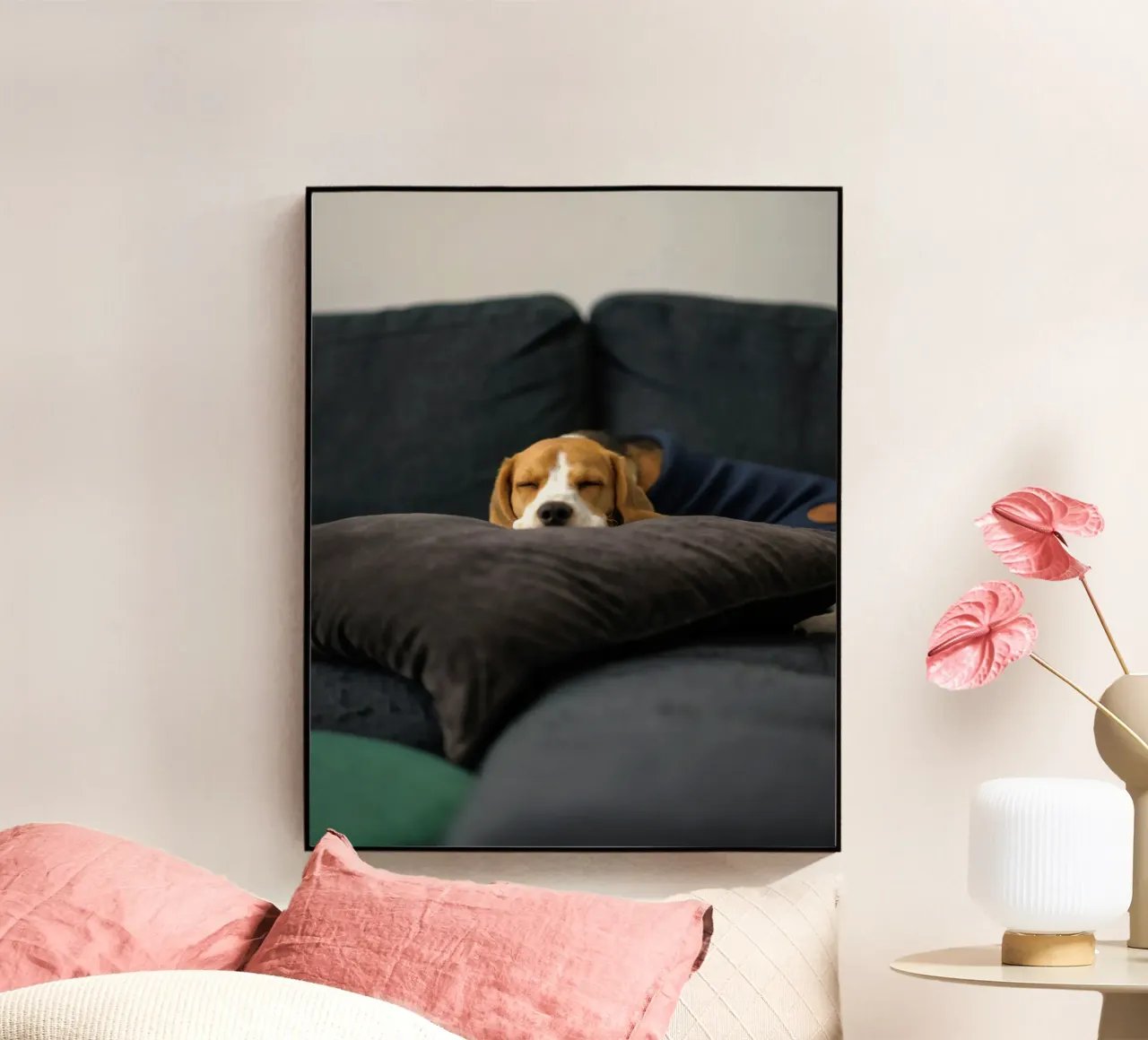 cane beagle plexiglass da animal story home
