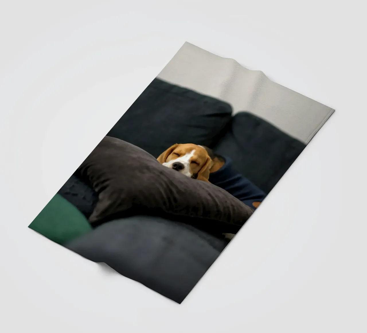 cane beagle coperta in pile da animal story home