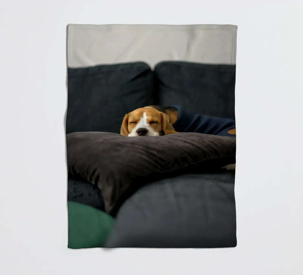 cane beagle coperta in pile da animal story home