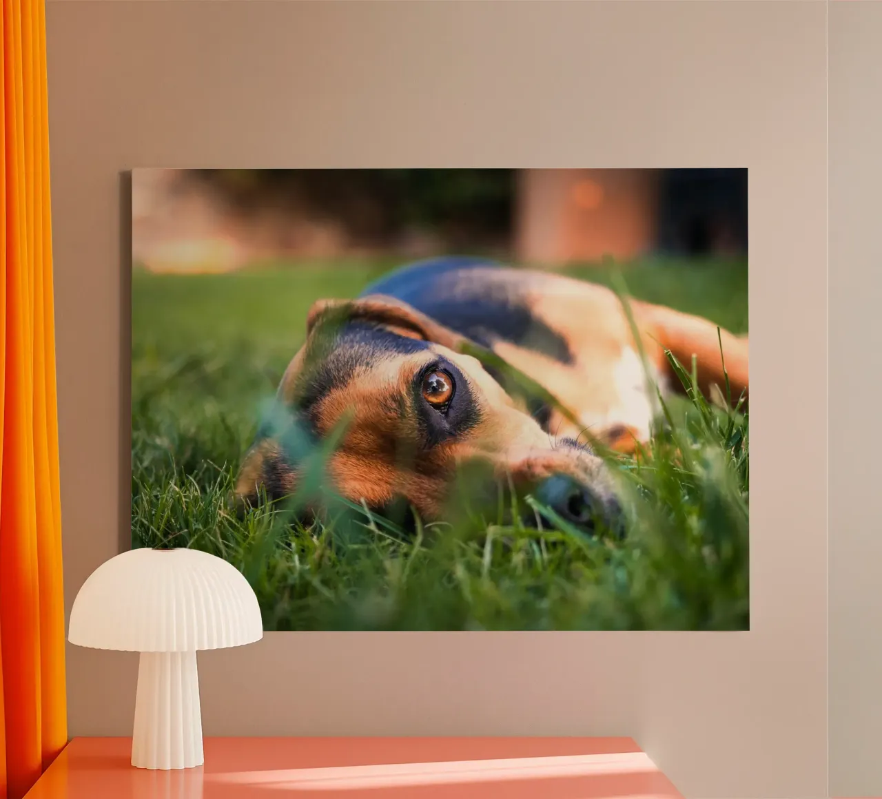 natura verde occhi di cucciolo tela con Cornice a cassetta da animal story home