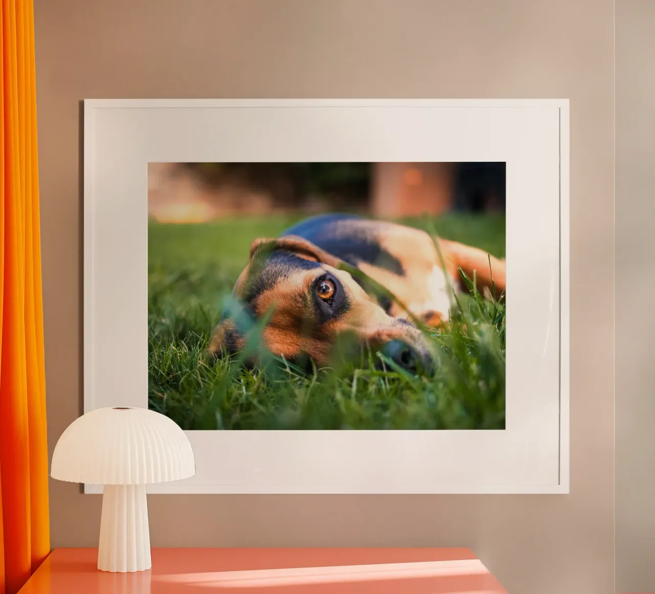 natura verde occhi di cucciolo poster con telaio in plastica da animal story home