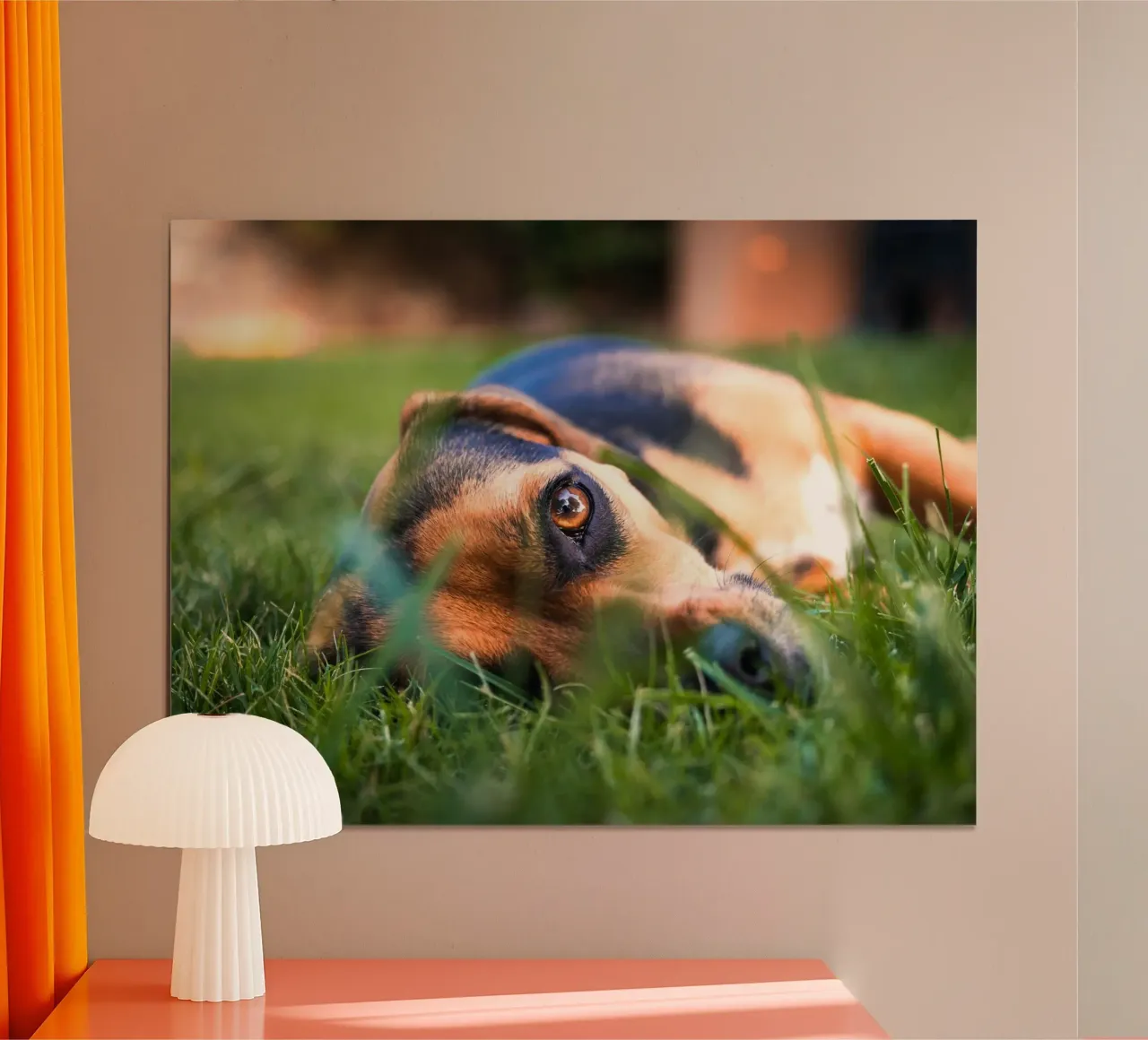 natura verde occhi di cucciolo poster con telaio in plastica da animal story home