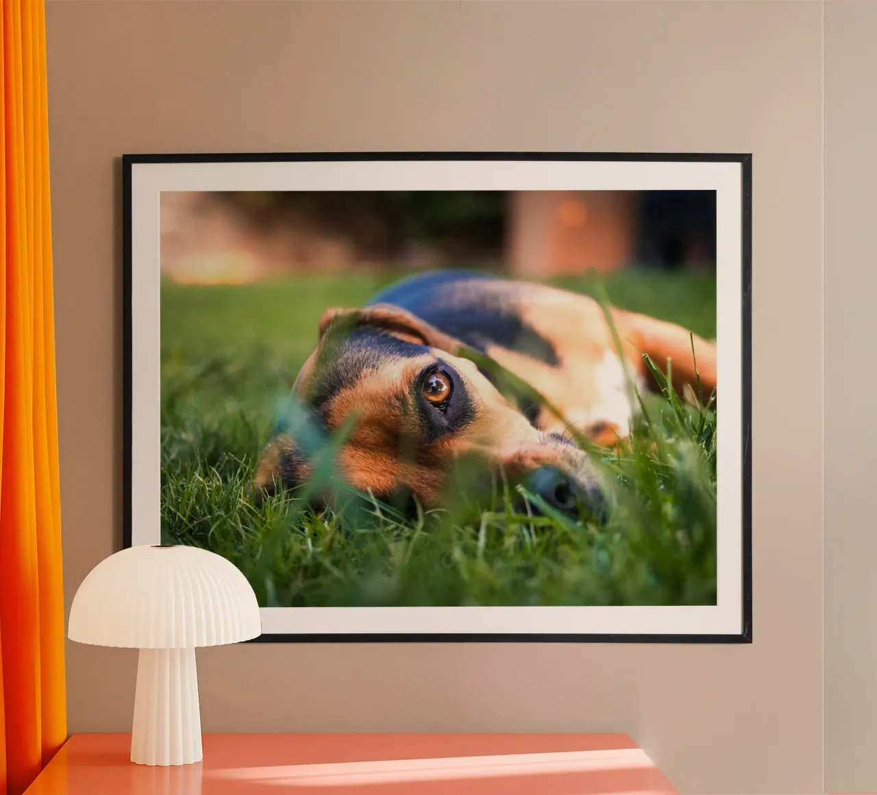 natura verde occhi di cucciolo poster con telaio in plastica da animal story home