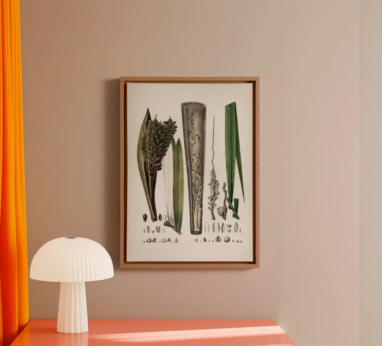 Vintage Martius 5 Cocos Comosa canvas met Baklijst van Vintage Print Collection
