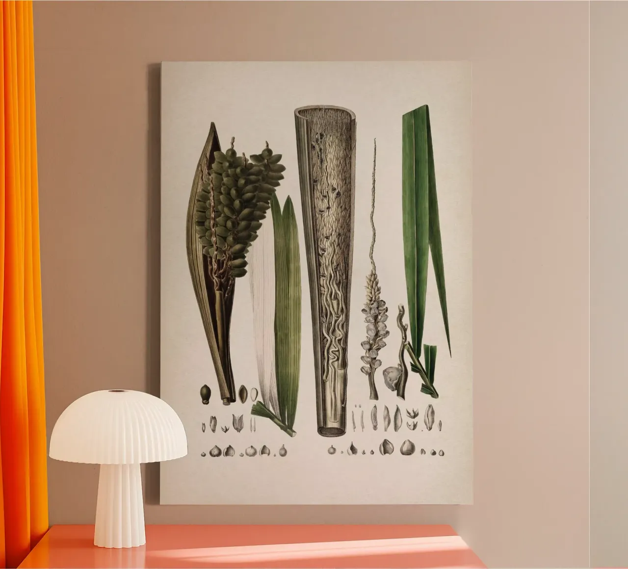 Vintage Martius 5 Cocos Comosa canvas met Baklijst van Vintage Print Collection